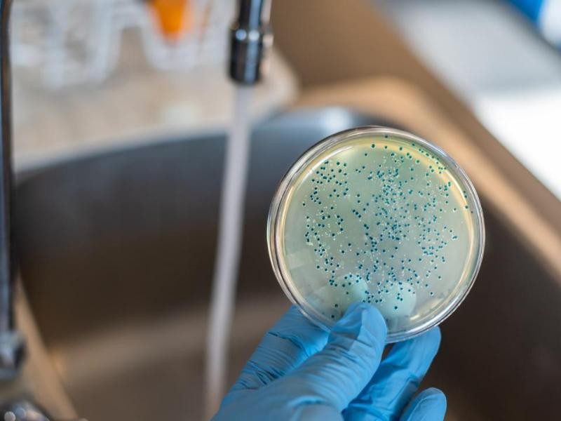 A importância do controle microbiológico para monitorar a qualidade da água