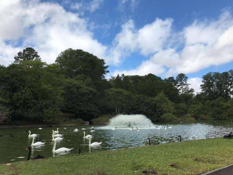 Sapucaia do Sul