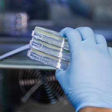 Análises microbiológicas da água em Portão