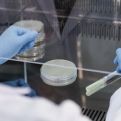 analise-microbiologica-em-utensilios-em-porto-alegre-rs