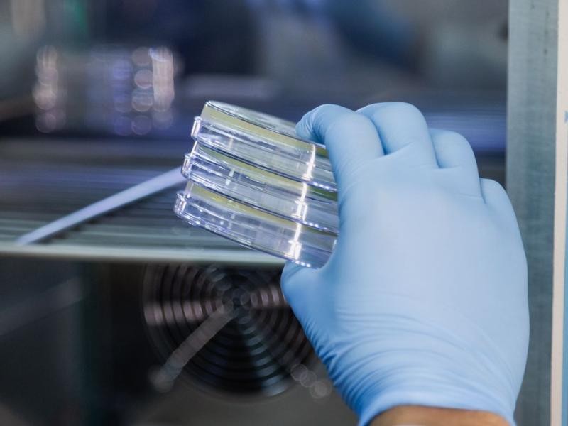 Análises microbiológicas da água