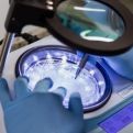analise-de-bacterias-no-ar-em-porto-alegre-rs